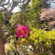 ヒメ日記 2025/12/17 17:30 投稿 椎名あおい セカンドパートナー