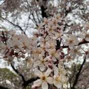 町村ひとみ ひとみです セカンドパートナー本店