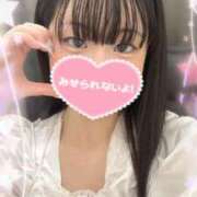 ヒメ日記 2025/07/31 13:47 投稿 なずな 横浜ハートショコラ（シンデレラグループ）