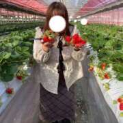 ヒメ日記 2026/01/17 13:31 投稿 すずか club さくら日本橋店