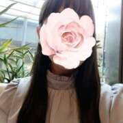 ヒメ日記 2026/02/01 07:50 投稿 水嶋かのん セカンドパートナー