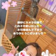 ヒメ日記 2025/06/22 11:36 投稿 すずか 奥様さくら日本橋店