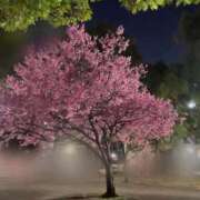 ヒメ日記 2026/03/14 22:08 投稿 かえで 実録！おとなのわいせつ倶楽部