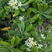 ヒメ日記 2025/05/05 14:06 投稿 神崎 HERMINE-エルミネ-