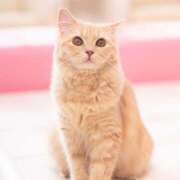 ヒメ日記 2025/05/19 20:25 投稿 神崎 HERMINE-エルミネ-