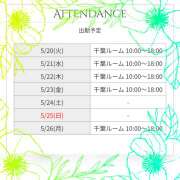 ヒメ日記 2025/05/20 08:02 投稿 神崎 HERMINE-エルミネ-