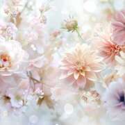 ヒメ日記 2025/06/06 08:10 投稿 神崎 HERMINE-エルミネ-