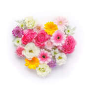 ヒメ日記 2025/06/11 08:17 投稿 神崎 HERMINE-エルミネ-