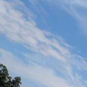 ヒメ日記 2025/06/16 08:16 投稿 神崎 HERMINE-エルミネ-