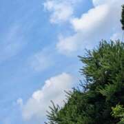 ヒメ日記 2025/06/27 08:24 投稿 神崎 HERMINE-エルミネ-