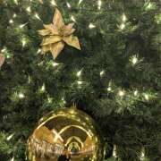 ヒメ日記 2025/12/23 21:35 投稿 神崎 HERMINE-エルミネ-