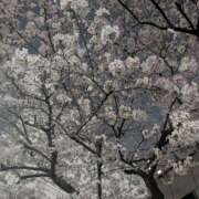 ヒメ日記 2026/03/29 19:47 投稿 神崎 HERMINE-エルミネ-