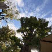 ヒメ日記 2025/10/23 15:20 投稿 森川ほたる セカンドパートナー