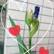 ヒメ日記 2026/04/22 13:45 投稿 森川ほたる セカンドパートナー本店