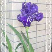 ヒメ日記 2026/04/26 10:25 投稿 森川ほたる セカンドパートナー本店