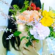 ヒメ日記 2025/07/09 16:36 投稿 白百合（しらゆり） ユカノモリ