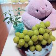 ヒメ日記 2025/10/14 18:23 投稿 白百合（しらゆり） ユカノモリ