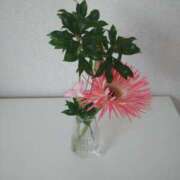 ヒメ日記 2025/11/07 22:07 投稿 白百合（しらゆり） ユカノモリ