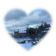 ヒメ日記 2026/01/06 14:18 投稿 白百合（しらゆり） ユカノモリ