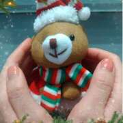 ヒメ日記 2026/01/12 04:30 投稿 白百合（しらゆり） ユカノモリ