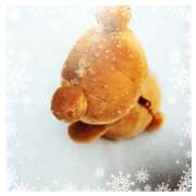 ヒメ日記 2026/01/21 14:33 投稿 白百合（しらゆり） ユカノモリ