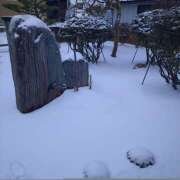 ヒメ日記 2026/02/08 05:33 投稿 白百合（しらゆり） ユカノモリ