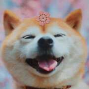 ヒメ日記 2026/02/14 04:33 投稿 白百合（しらゆり） ユカノモリ