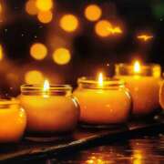 ヒメ日記 2026/02/24 04:36 投稿 白百合（しらゆり） ユカノモリ