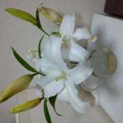 ヒメ日記 2026/03/15 02:01 投稿 白百合（しらゆり） ユカノモリ