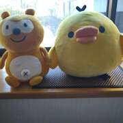 ヒメ日記 2026/03/16 05:37 投稿 白百合（しらゆり） ユカノモリ