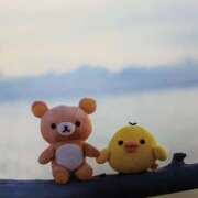 ヒメ日記 2026/03/31 03:31 投稿 白百合（しらゆり） ユカノモリ