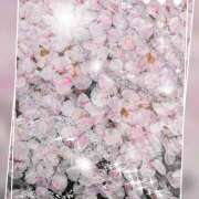 ヒメ日記 2026/04/02 00:03 投稿 白百合（しらゆり） ユカノモリ