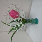 ヒメ日記 2026/04/20 00:49 投稿 白百合（しらゆり） ユカノモリ