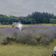 ヒメ日記 2025/07/08 10:35 投稿 藤井かなこ セカンドパートナー