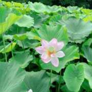 ヒメ日記 2025/07/22 11:35 投稿 藤井かなこ セカンドパートナー