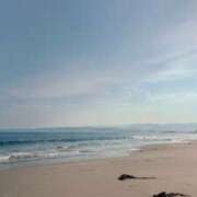 ヒメ日記 2025/08/21 10:10 投稿 藤井かなこ セカンドパートナー