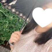 ヒメ日記 2025/09/11 11:45 投稿 藤井かなこ セカンドパートナー