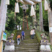 ヒメ日記 2025/10/15 10:30 投稿 藤井かなこ セカンドパートナー