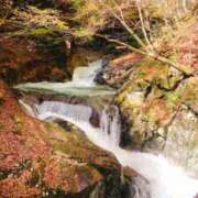 ヒメ日記 2025/10/23 10:55 投稿 藤井かなこ セカンドパートナー