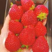 ヒメ日記 2025/12/27 09:55 投稿 藤井かなこ セカンドパートナー