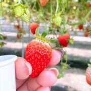 藤井かなこ 優しい甘さに包まれて❤️ セカンドパートナー