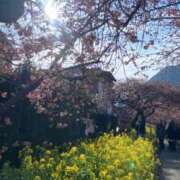 ヒメ日記 2026/02/17 10:25 投稿 藤井かなこ セカンドパートナー