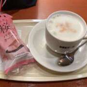 藤井かなこ 桜の季節、少し長めの春時間♡ セカンドパートナー本店