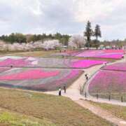 ヒメ日記 2026/04/06 11:10 投稿 藤井かなこ セカンドパートナー本店