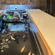 ヒメ日記 2025/06/17 11:32 投稿 優子 クラブルージュ