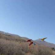 ヒメ日記 2025/12/02 13:42 投稿 優子 クラブルージュ