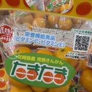 ヒメ日記 2026/03/11 11:20 投稿 優子 クラブルージュ