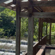 ヒメ日記 2025/06/18 14:30 投稿 目黒しずく セカンドパートナー