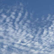 ヒメ日記 2025/09/05 15:40 投稿 目黒しずく セカンドパートナー