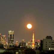 ヒメ日記 2026/01/06 11:20 投稿 目黒しずく セカンドパートナー